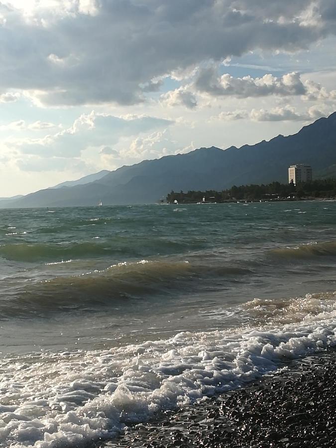 Apartments Veni Up Starigrad Paklenica Zewnętrze zdjęcie